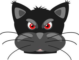 angry cat